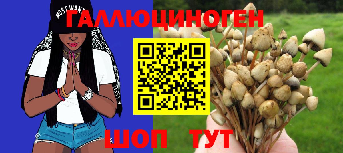 Галлюциногенные грибы прущие грибы  Вход с VPN  Среднеуральск 